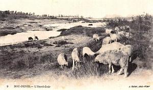 Bou-Denib - Oued-Guir